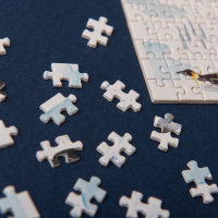 Micropuzzel pinguïns